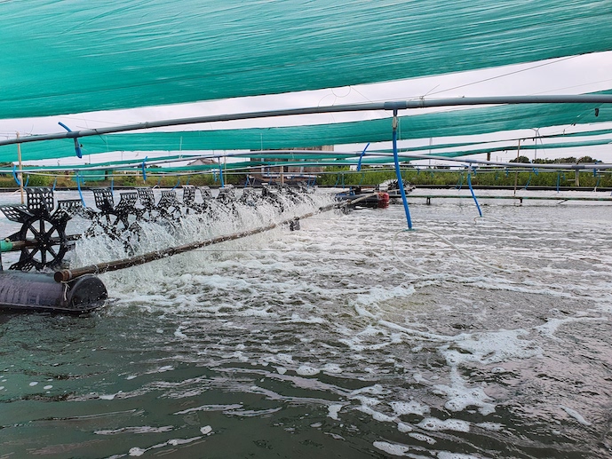 Máy điện hóa tạo clo - Giải pháp hiệu quả trong xử lý nước