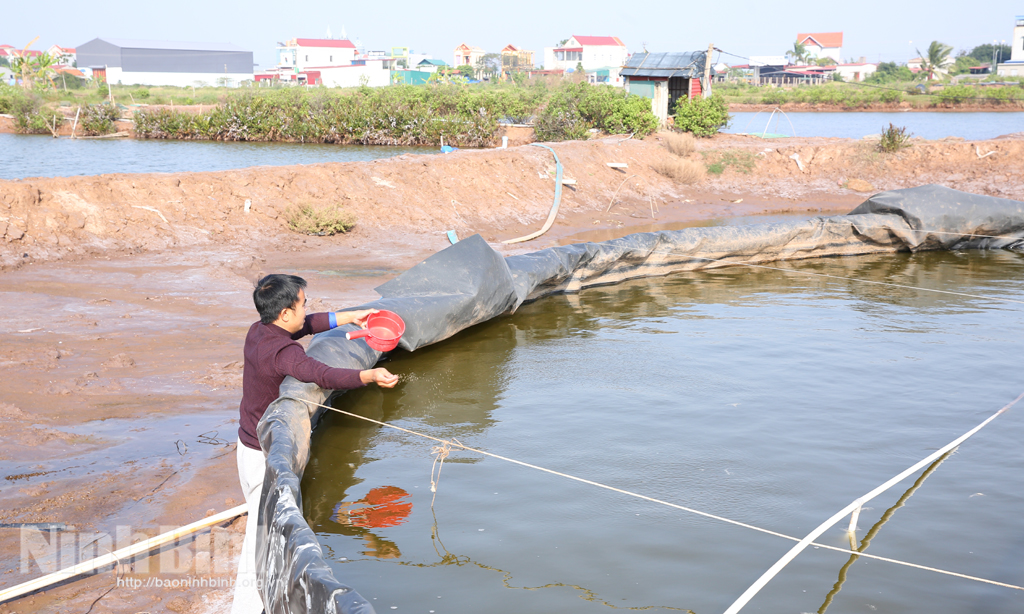 Lưu Ý Khi Sử Dụng Máy Điện Hóa Tạo Clo