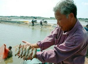 máy điện hóa tạo clo nuôi tôm