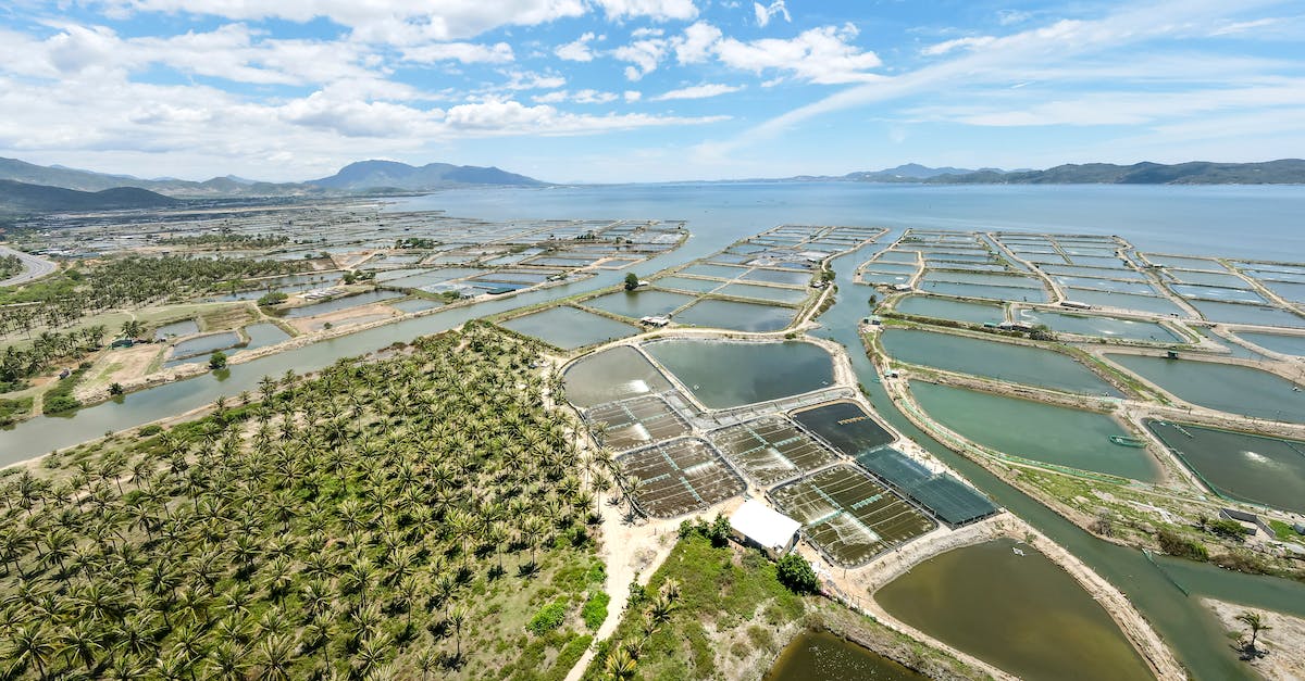 Ứng dụng máy xử lý nước biển đầu vào trong nuôi trồng thuỷ sản