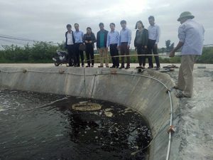 Máy điện hoá tạo clo nuôi trồng thuỷ sản - Bật mí tác dụng của Clo trong nuôi trồng thủy sản