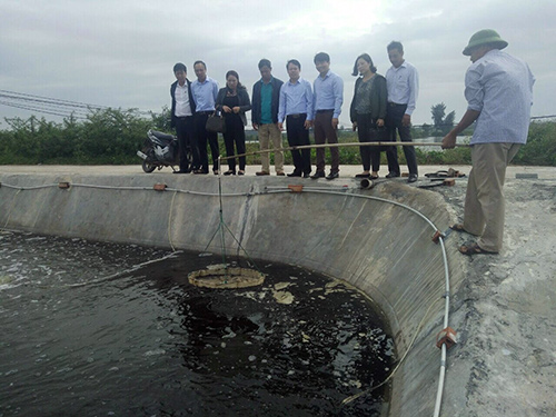 Máy điện hoá tạo clo nuôi trồng thuỷ sản - Bật mí tác dụng của Clo trong nuôi trồng thủy sản