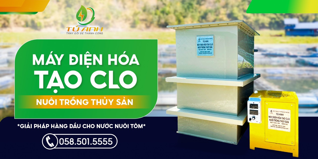 Máy điện hóa tạo clo nuôi tôm - Kĩ thuật nuôi tôm hiệu quả