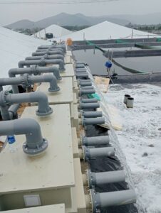 Máy xử lý nước biển đầu vào trong nuôi trồng thủy sản