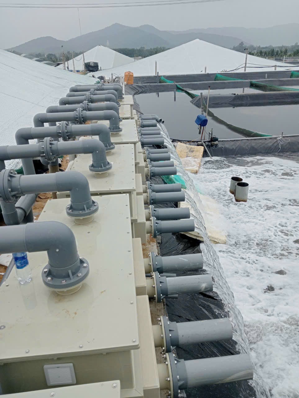 Máy xử lý nước biển đầu vào trong nuôi trồng thủy sản