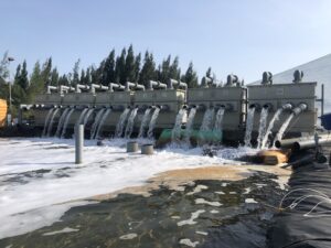 Máy xử lý nước biển đầu vào trong nuôi trồng thủy sản