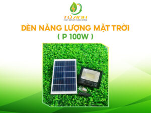 Đèn năng lượng mặt trời