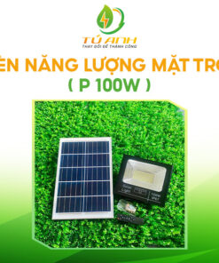 Đèn năng lượng mặt trời