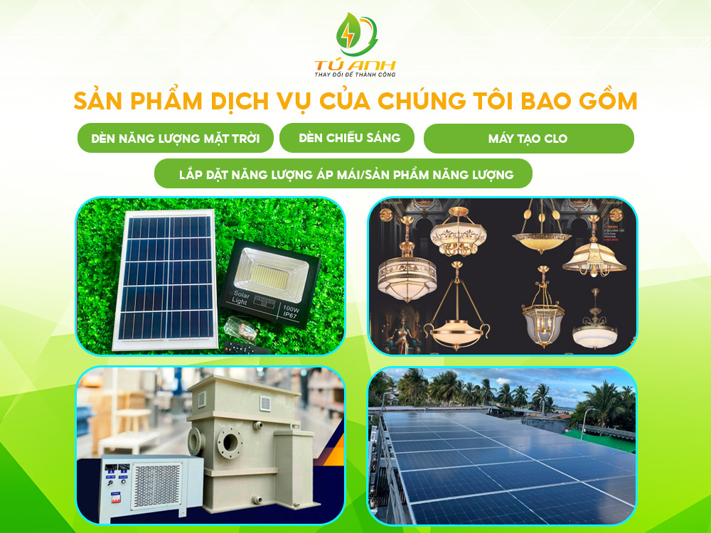 Lĩnh vực hoạt động Công ty Tú Anh